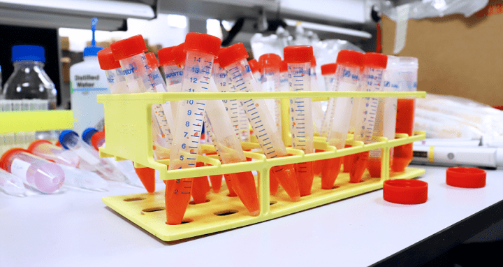 新聞熱點:一種細菌的發現,使尼龍的可持續生產成為可能